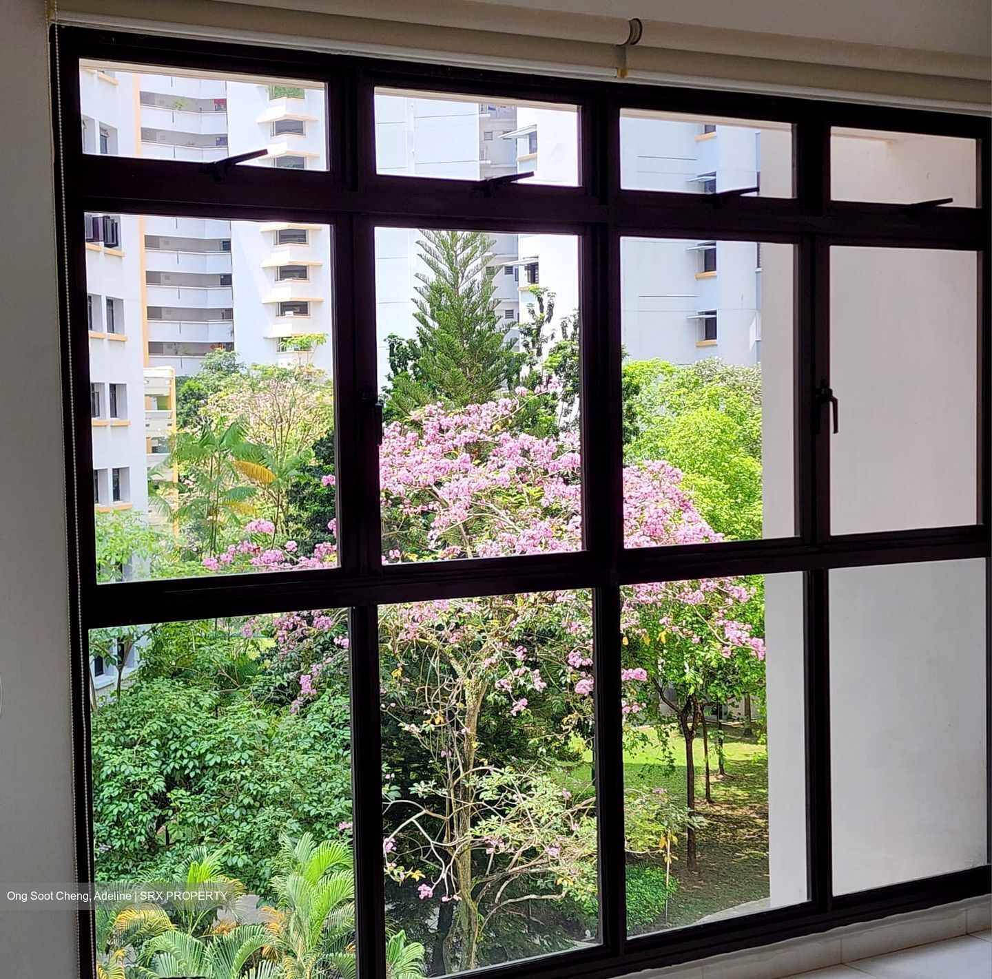 Anchorvale Road thumbnail photo